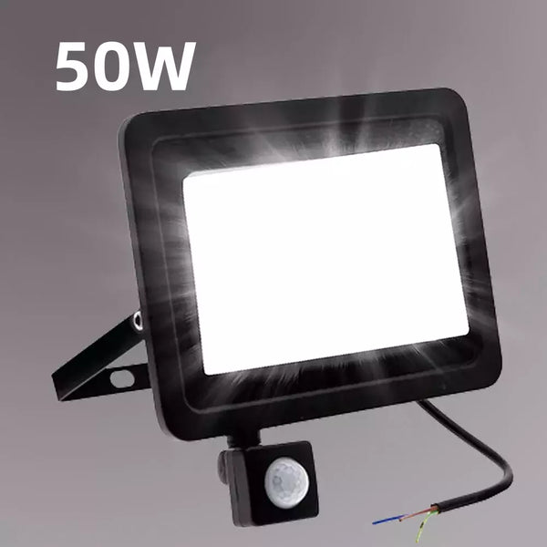 50W LED Floodlight Motion Sensor Flood